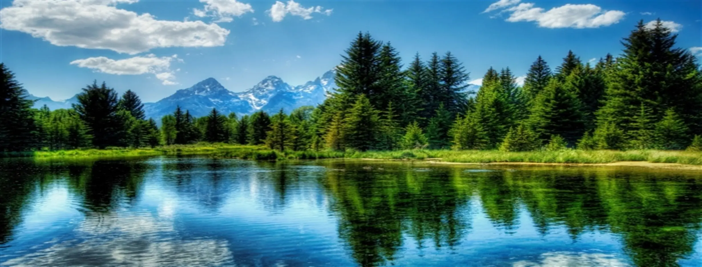 Image for Serene Retreat